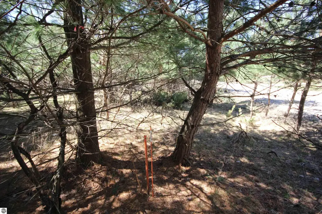 Picture 7