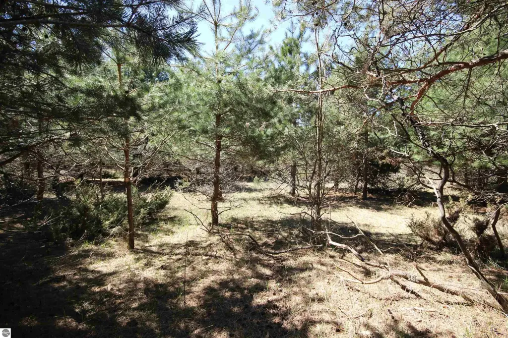 Picture 8