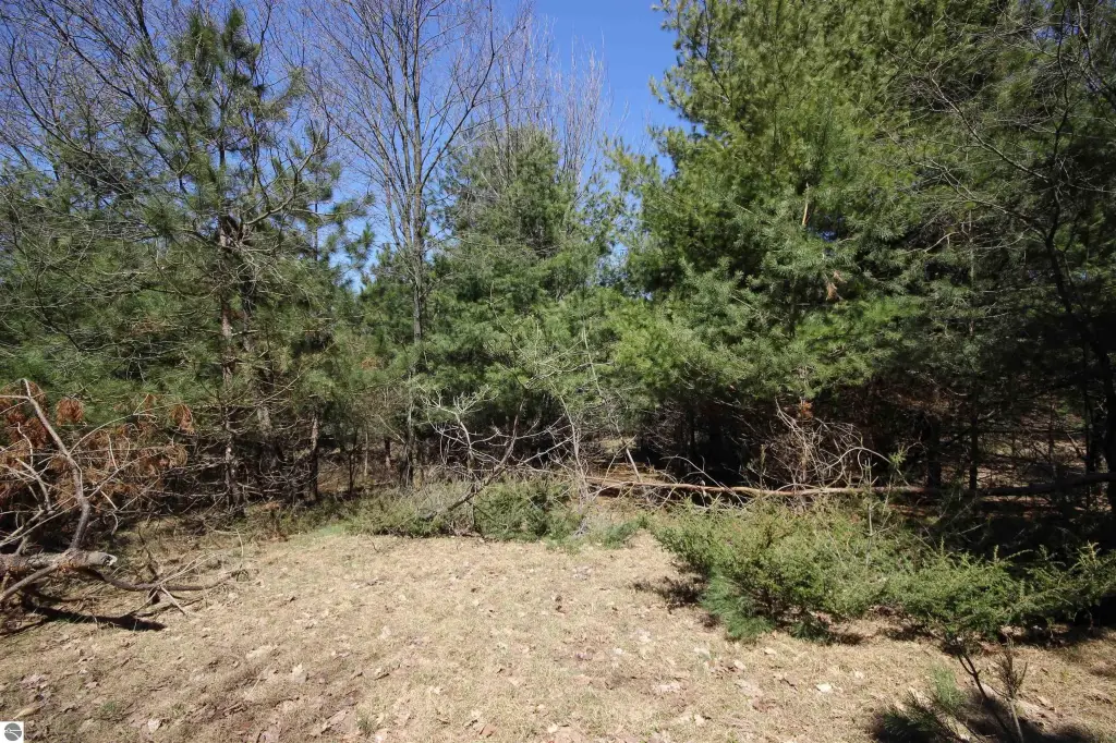 Picture 12