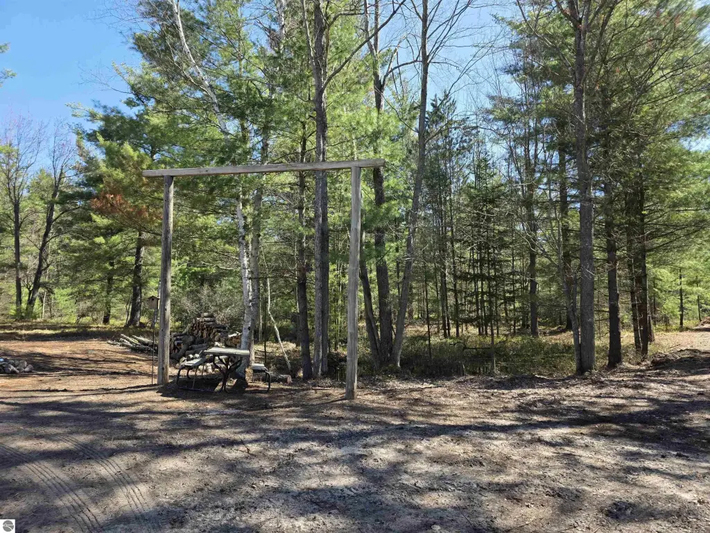 Picture 7