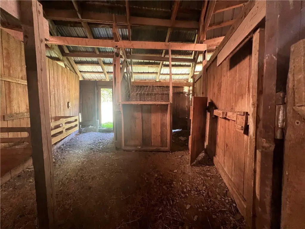 Picture 48