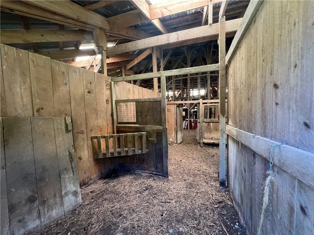 Picture 47