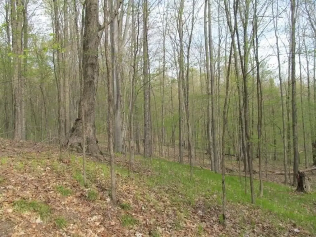 Picture 25