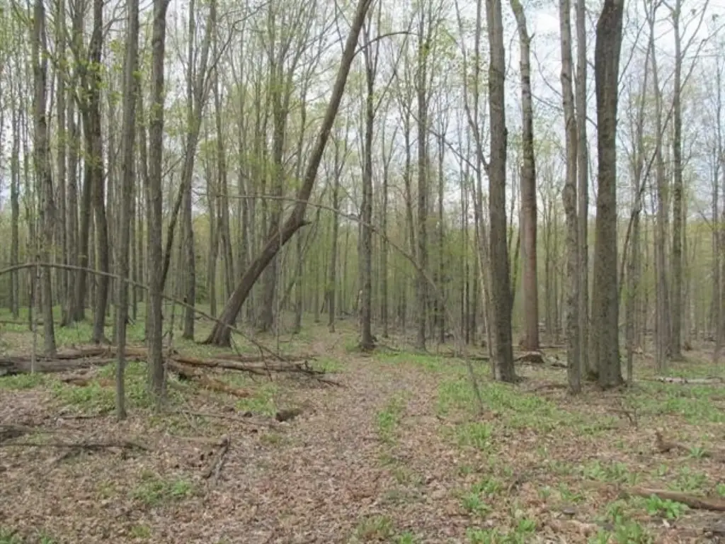 Picture 21