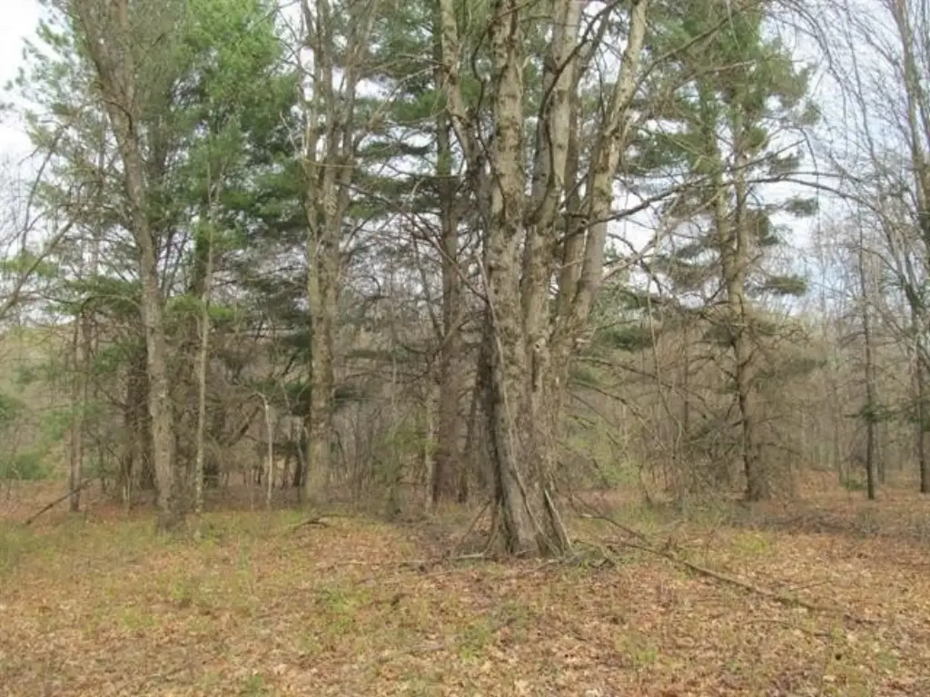 Picture 10