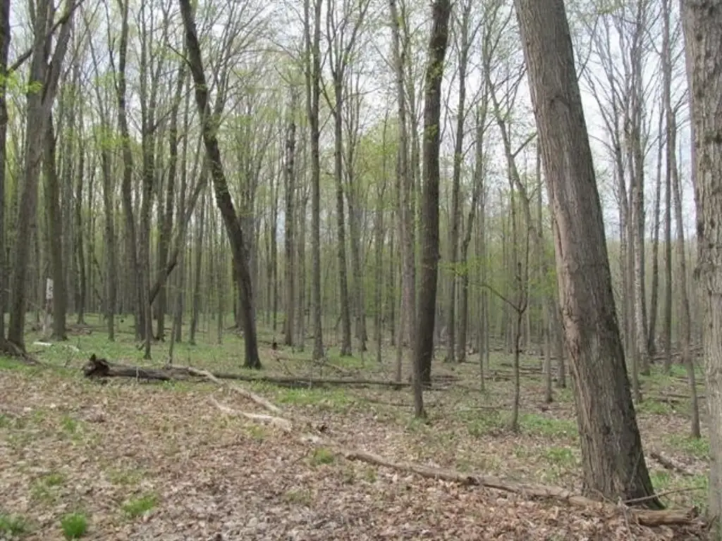 Picture 17
