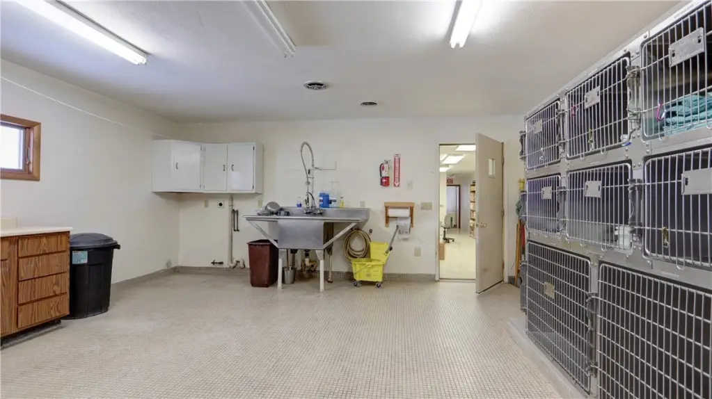 Picture 28