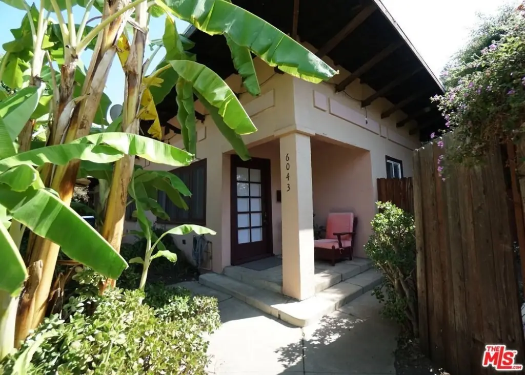 Picture 8