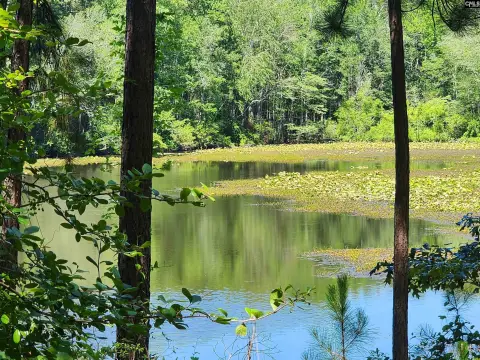 Elgin Horse Farm with Acreage