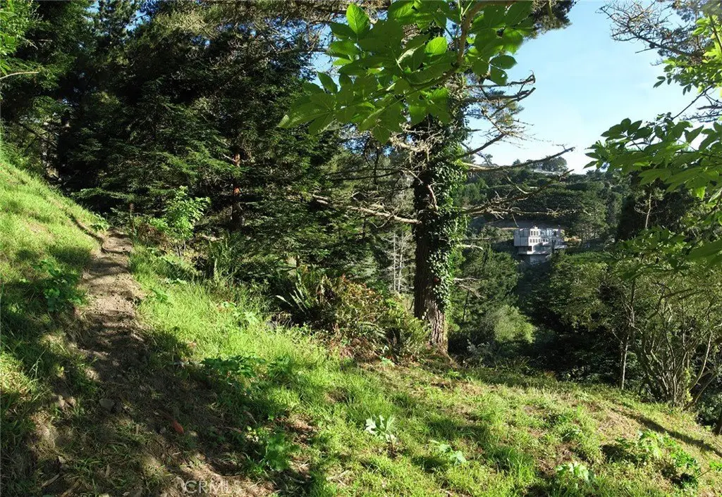 Picture 7