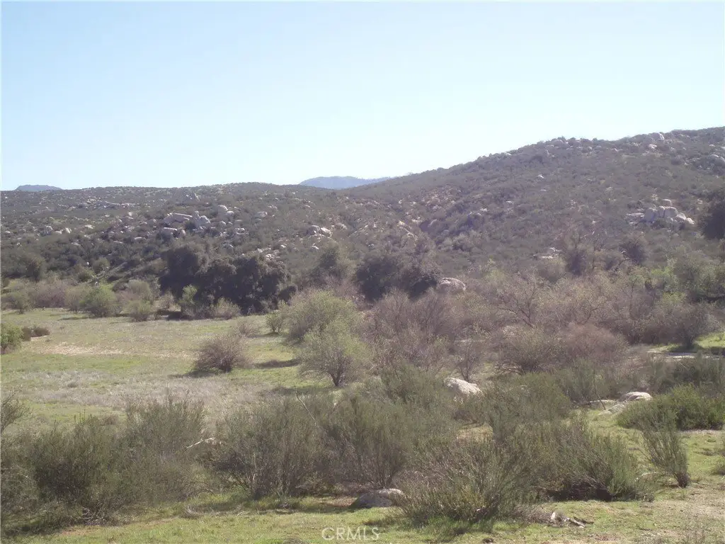 Picture 12