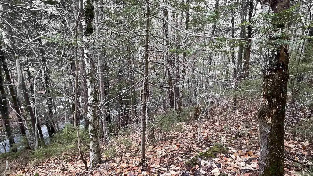 Picture 23