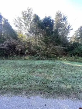 Wooded Lot Near Bull Shoals