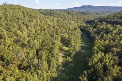 Secluded Acreage Near Jasper, AR