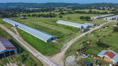 Picture of Farms at Mc 5002 1941, Yellville, AR