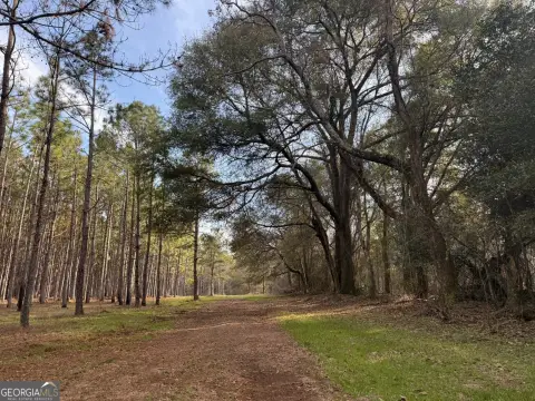 Sumter County Timbered Land