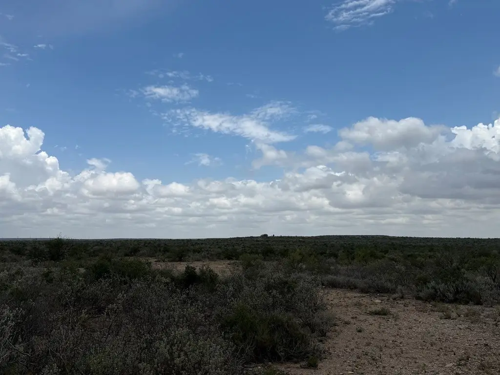 Picture 19