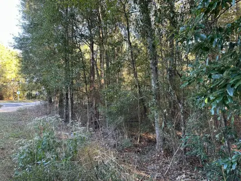 Residential Land in Hattiesburg, MS