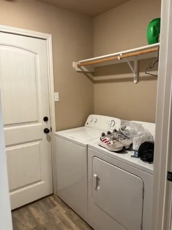 Picture 29
