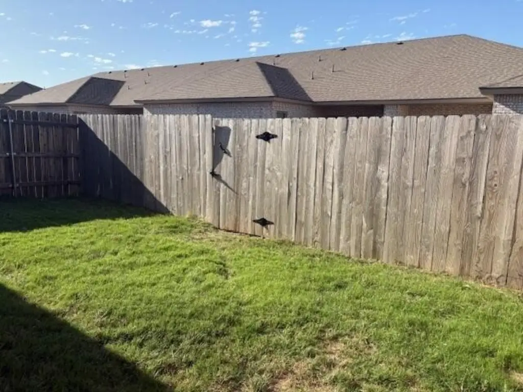 Picture 5