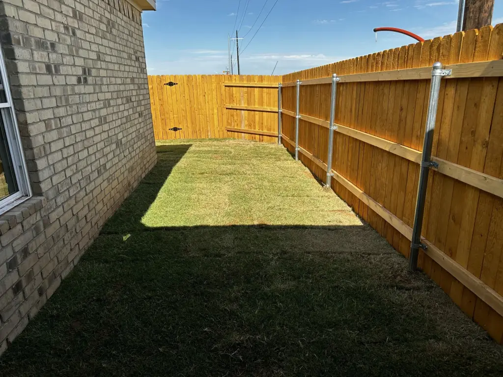 Picture 10