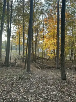 Long Cove Acreage Ready to Build