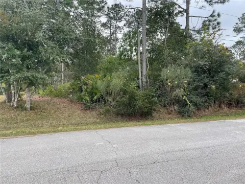 Residential Land in Palm Coast