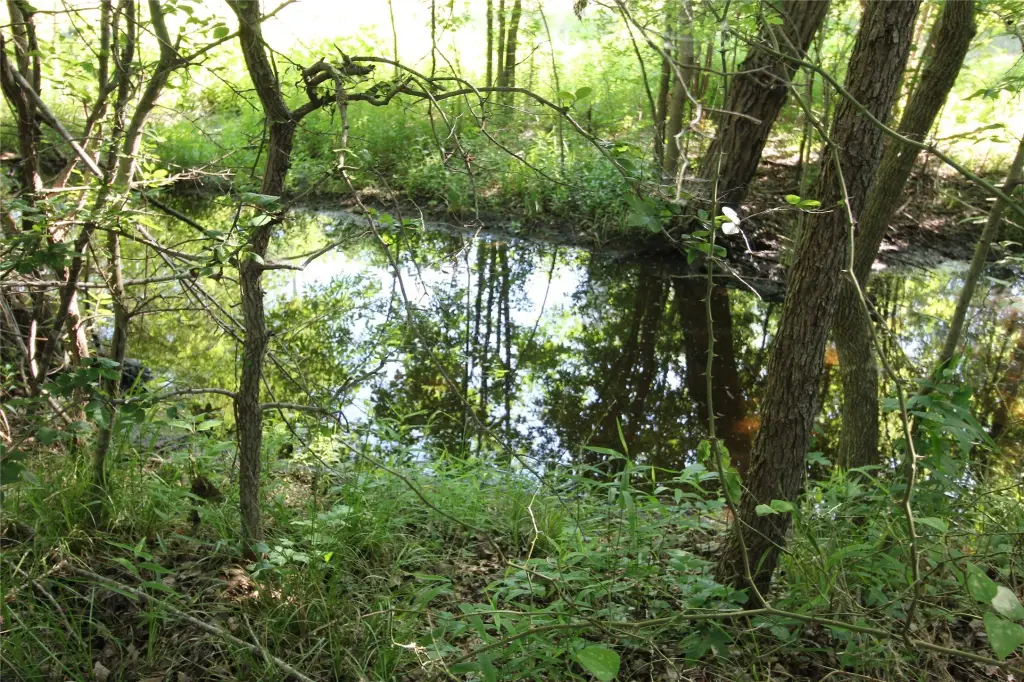 Picture 23