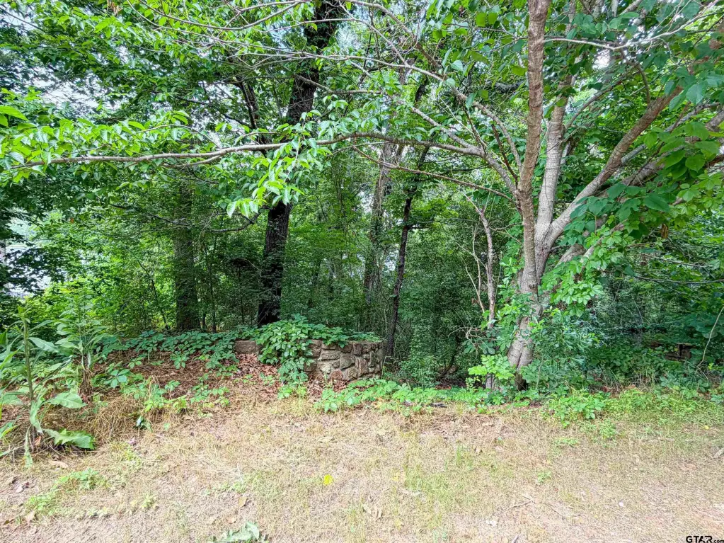 Picture 4