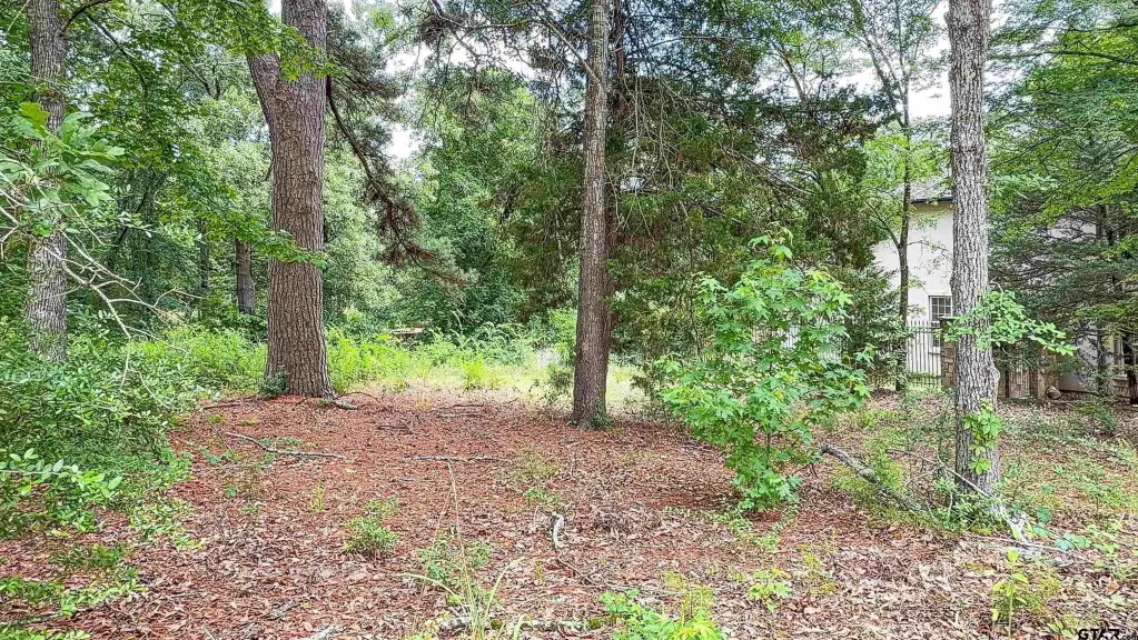 Picture 8