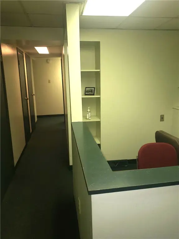 Picture 4