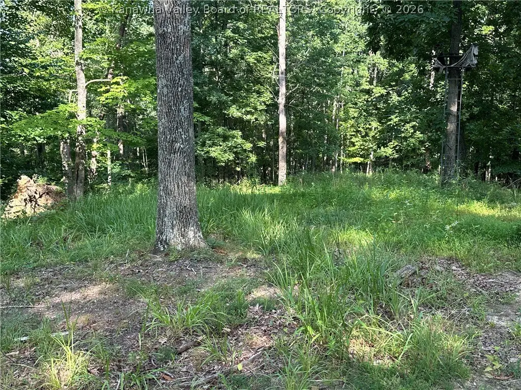 Picture 26