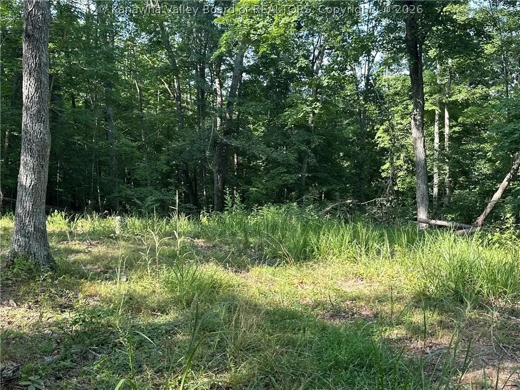 Picture 25