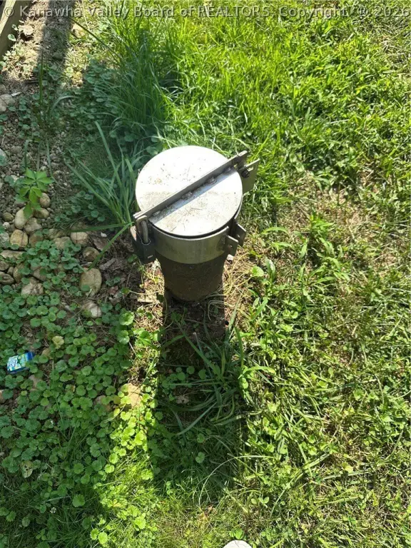 Picture 3