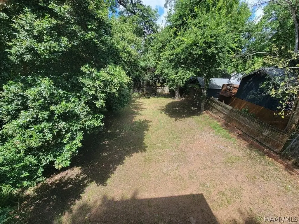 Picture 25