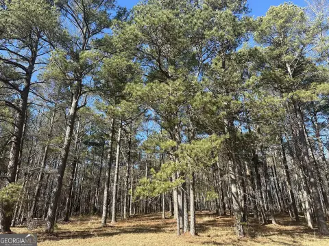 Fayetteville Homesite: 12 Acres