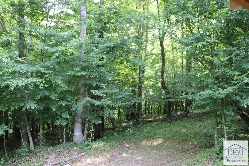 Picture 14