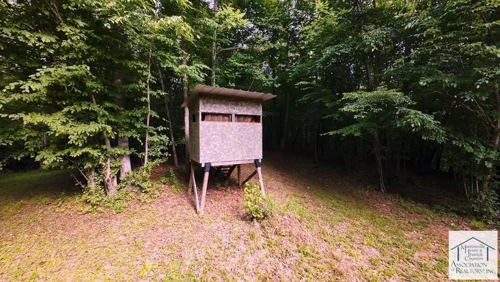 Picture 25