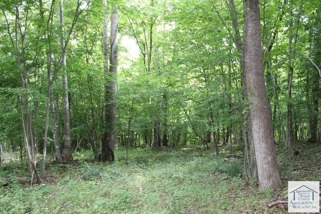 Picture 32