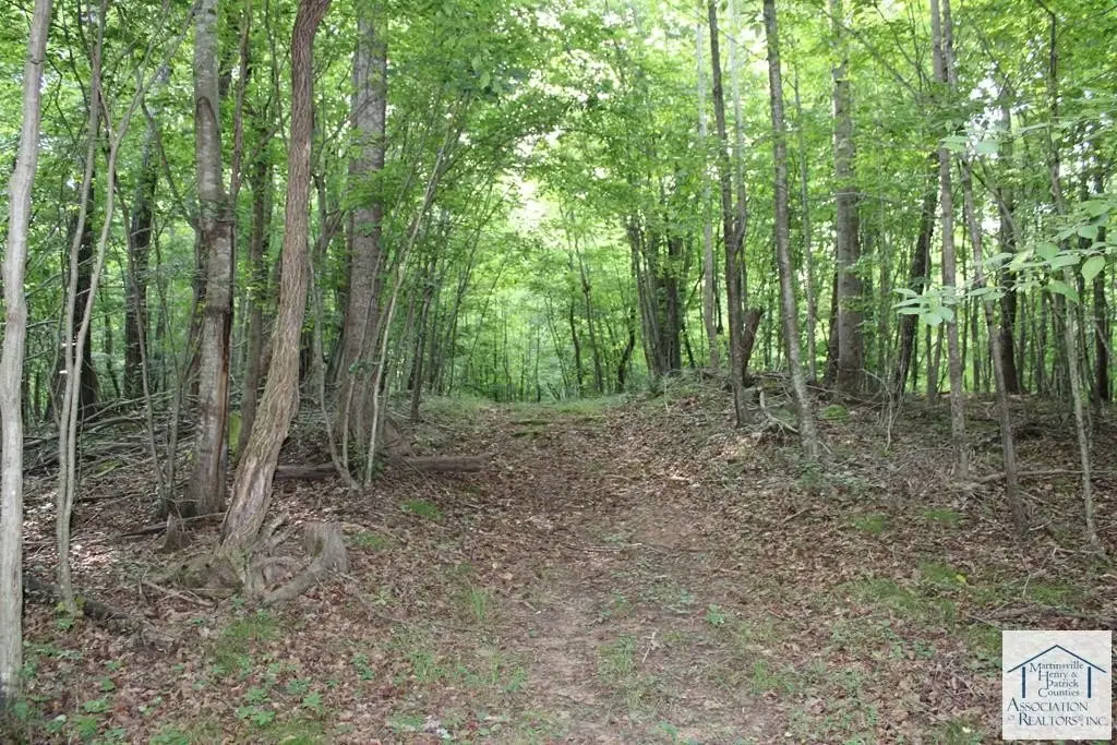 Picture 23