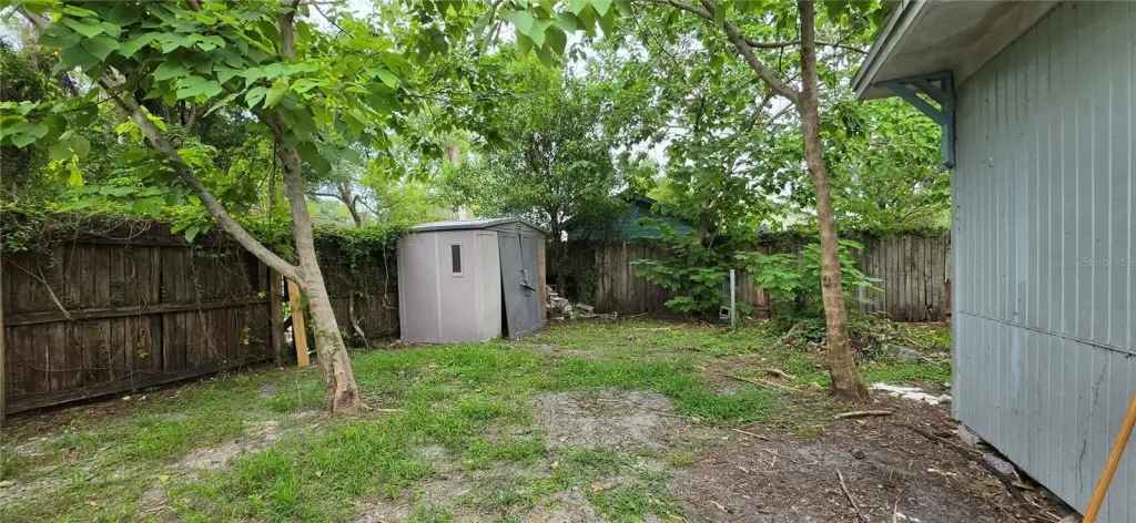 Picture 25