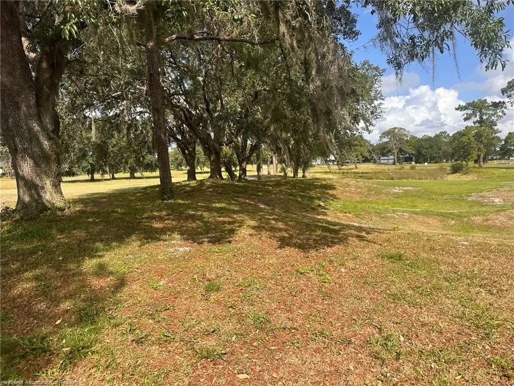 Picture 19
