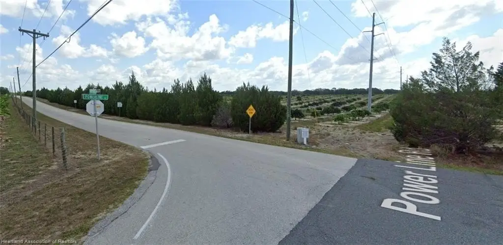 Picture 8