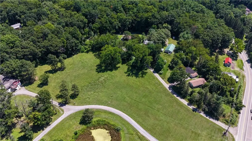 Picture 24