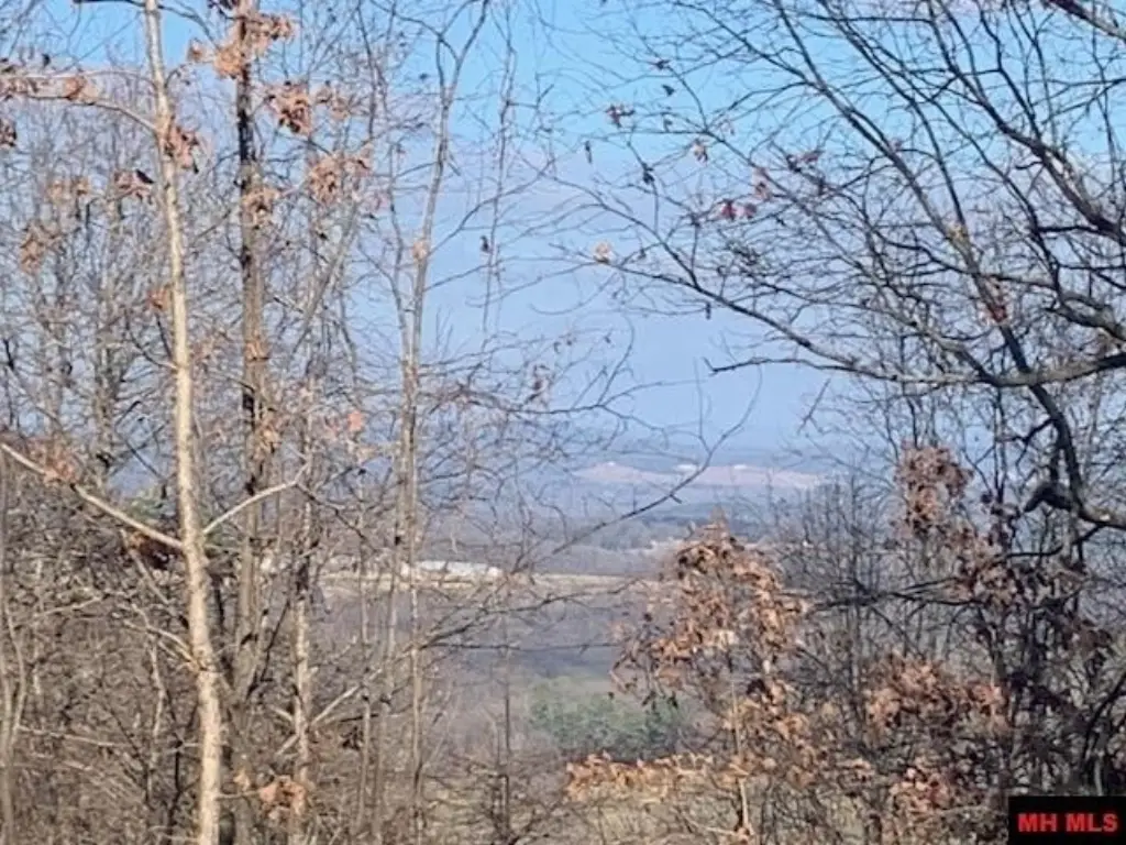 Picture 9
