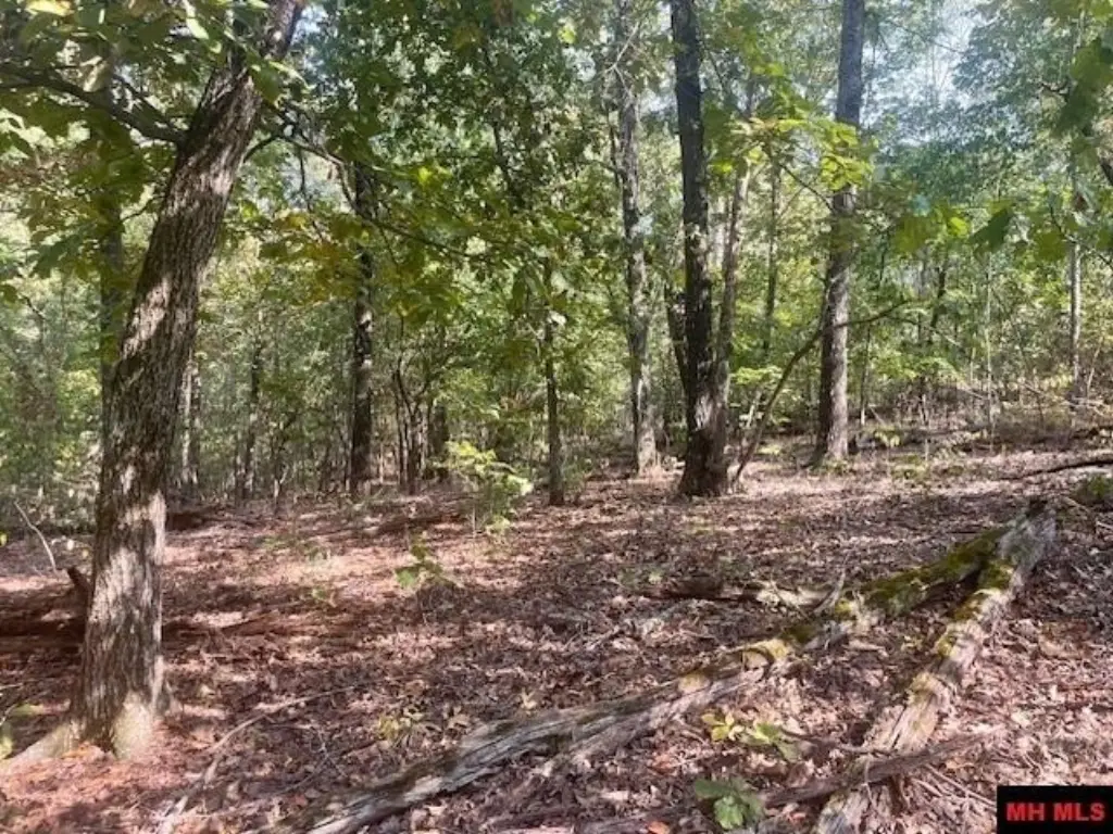 Picture 9
