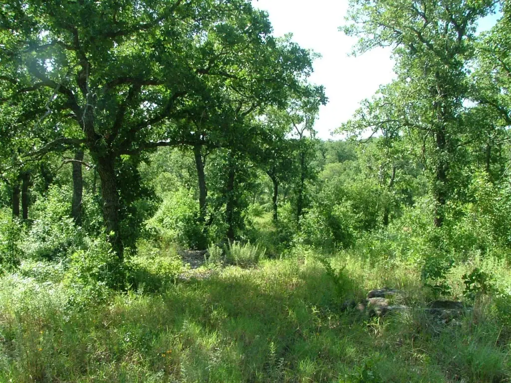 Picture 13