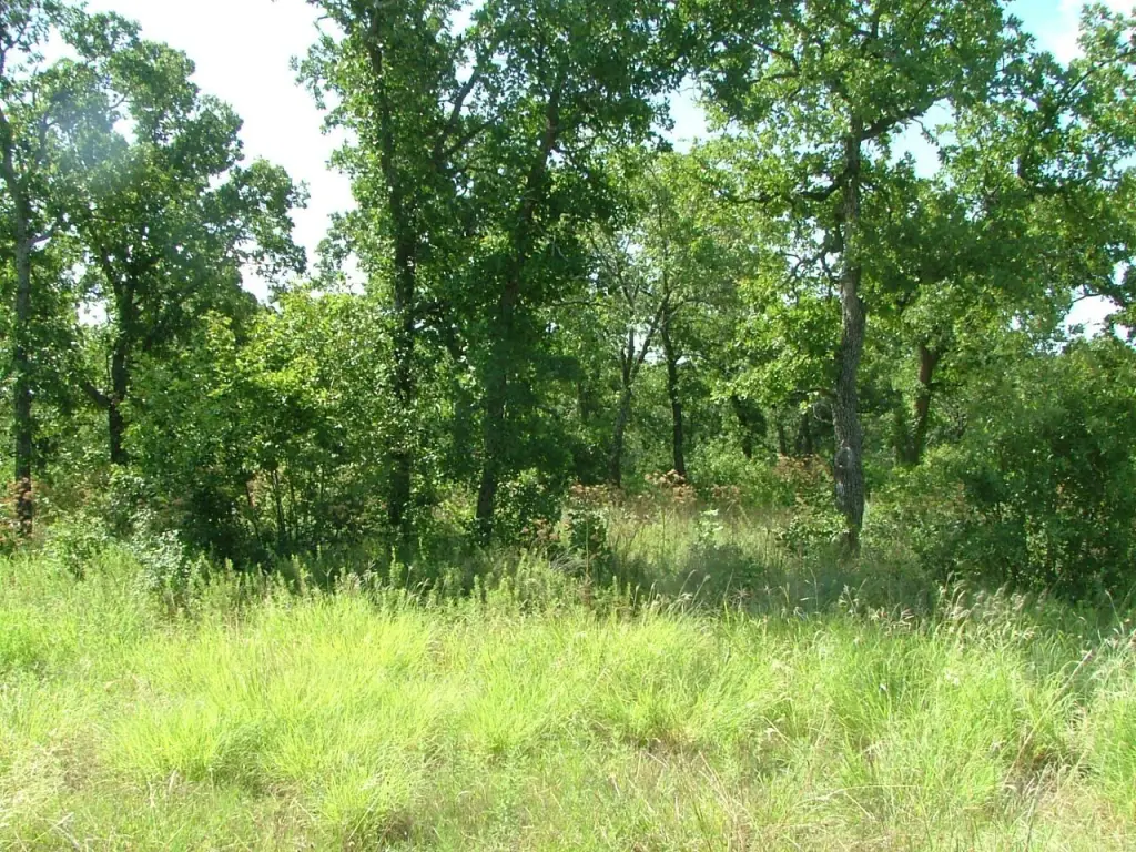 Picture 9