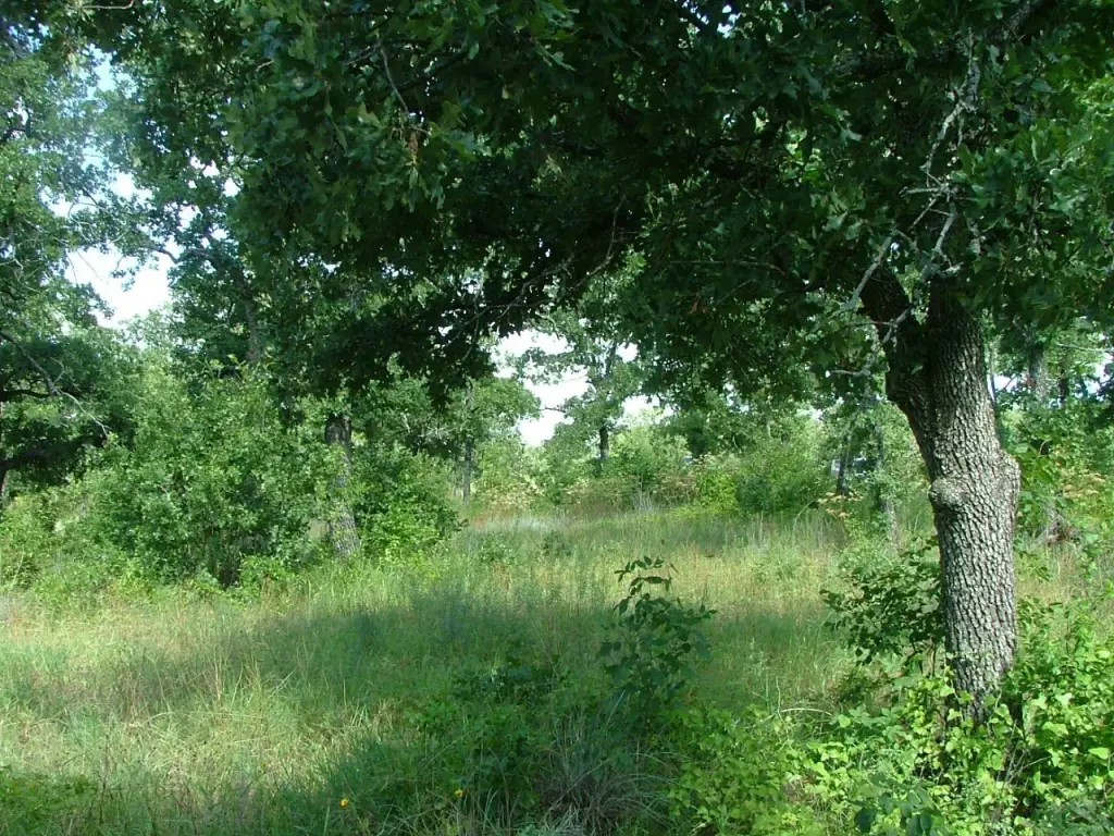 Picture 11
