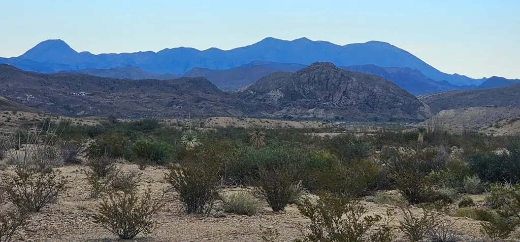 Picture 8